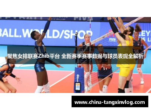 聚焦女排联赛Zhib平台 全新赛季赛事数据与球员表现全解析