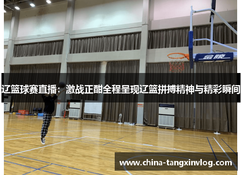 辽篮球赛直播：激战正酣全程呈现辽篮拼搏精神与精彩瞬间