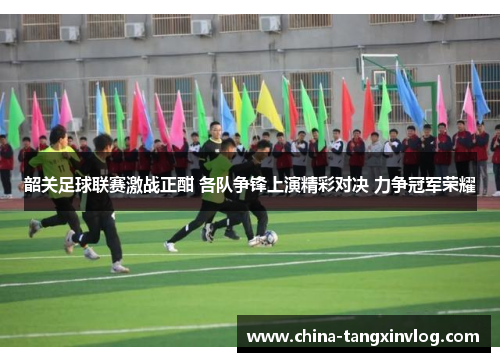 韶关足球联赛激战正酣 各队争锋上演精彩对决 力争冠军荣耀